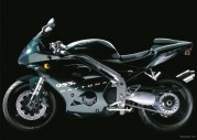 Triumph Daytona 955i Triumph Daytona 955i